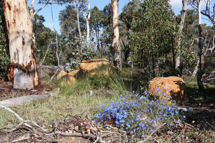 Fourth view of Homely land listing, Lot 420 Woylie Rise, Bakers Hill WA 6562