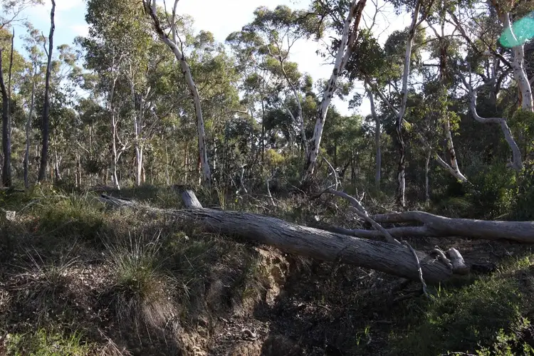 Fifth view of Homely land listing, Lot 420 Woylie Rise, Bakers Hill WA 6562