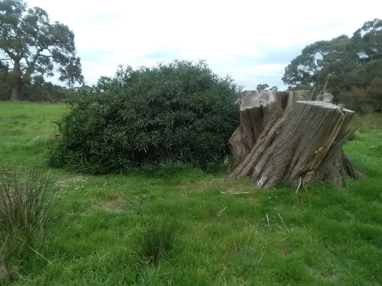 Fourth view of Homely land listing, Lot 1 Savage Hill Rd, Dereel VIC 3352
