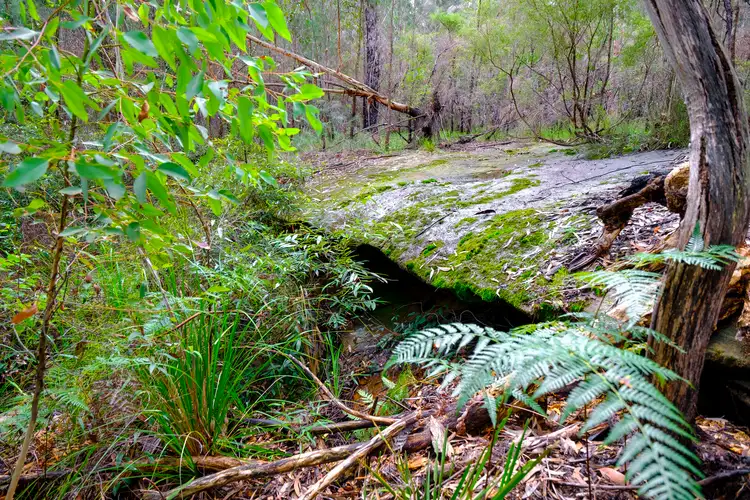 Fourth view of Homely land listing, 62 Spur Place, Glenorie NSW 2157