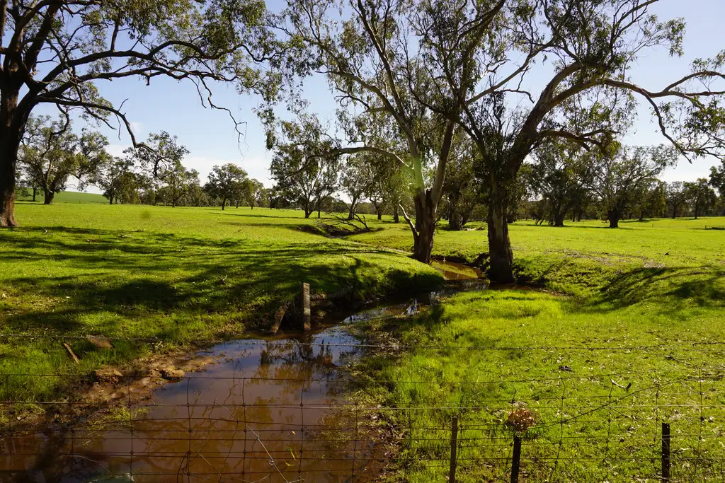 Main view of Homely rural property listing, Lot 2390 Walyer Walyer Road, Dandaragan WA 6507
