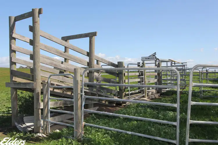Fourth view of Homely rural property listing, Lot 1 Nambrok Road, Nambrok VIC 3847