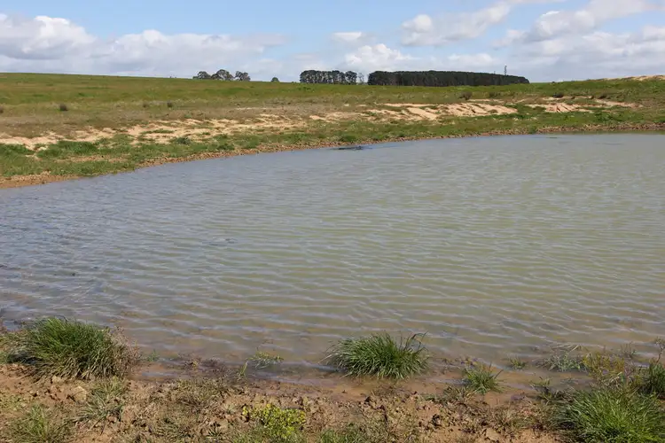 Seventh view of Homely rural property listing, Lot 1 Nambrok Road, Nambrok VIC 3847