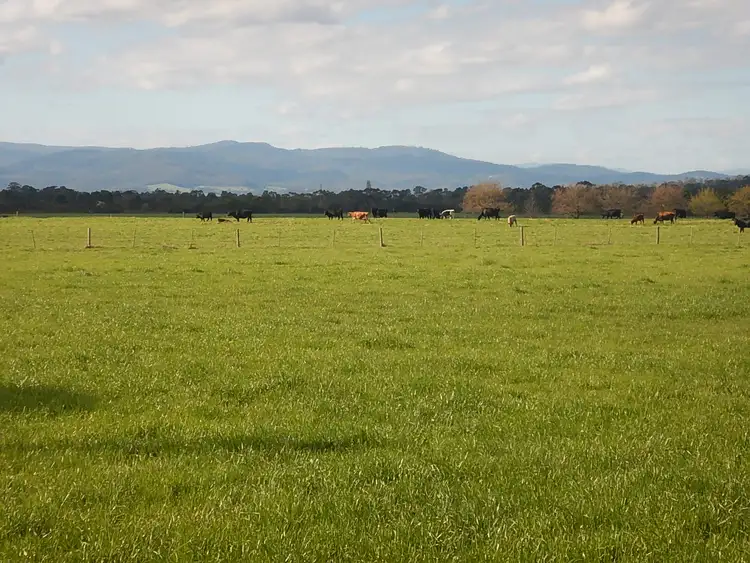 Second view of Homely rural property listing, 280 Edgar Road, Longwarry VIC 3816