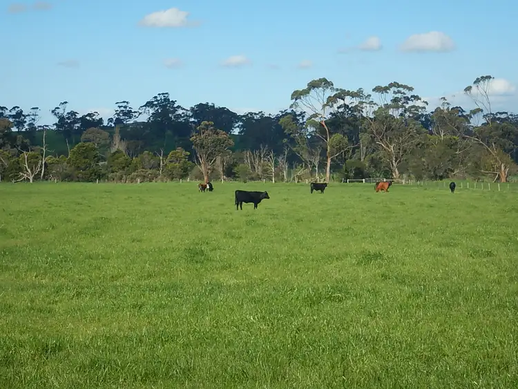 Fourth view of Homely rural property listing, 280 Edgar Road, Longwarry VIC 3816