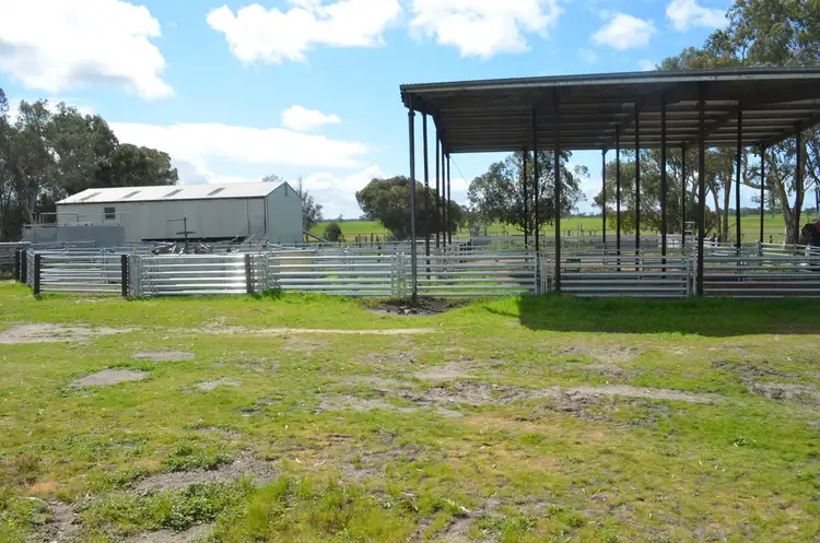 Sixth view of Homely rural property listing, 343 Cooper Road, Bordertown SA 5268