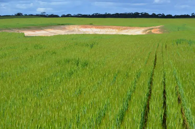 Seventh view of Homely rural property listing, 343 Cooper Road, Bordertown SA 5268