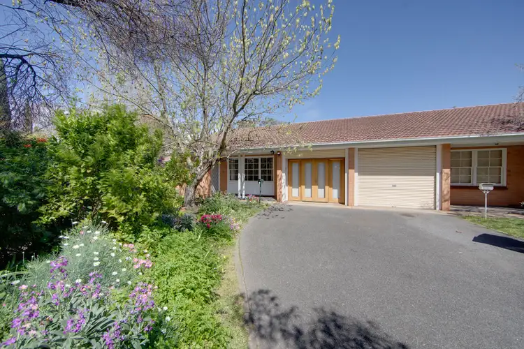 6/9 Cranbrook Avenue