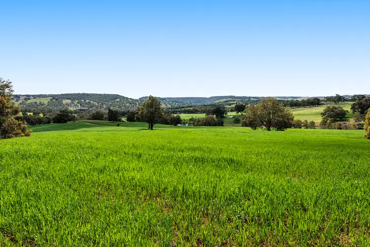 Fourth view of Homely house listing, 502 BLUE PLAINS ROAD, Chittering WA 6084