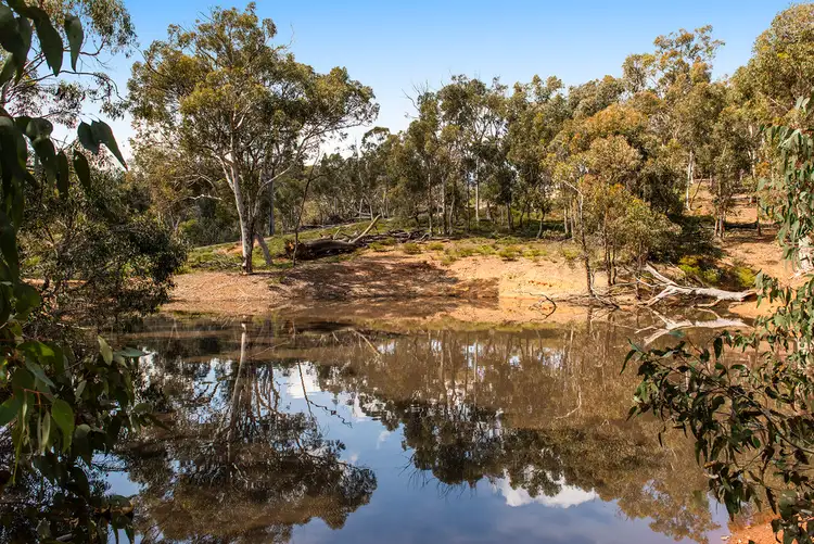Seventh view of Homely house listing, 502 BLUE PLAINS ROAD, Chittering WA 6084