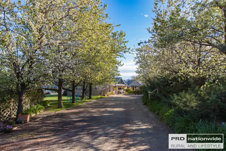 Fifth view of Homely house listing, 419 Lacmalac Road, Tumut NSW 2720