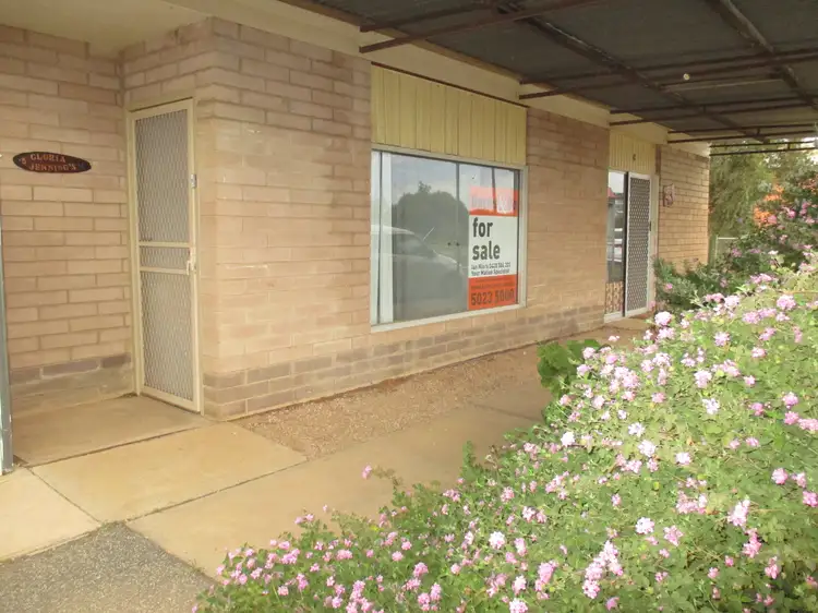 Main view of Homely house listing, 5 Cregan Street, Walpeup VIC 3507