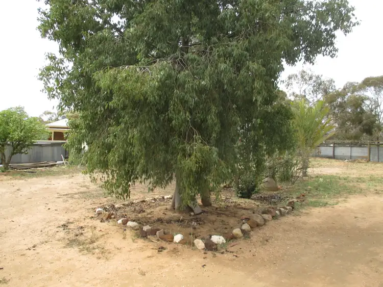 Seventh view of Homely house listing, 5 Cregan Street, Walpeup VIC 3507