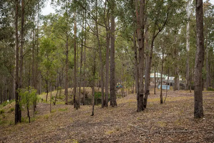 Second view of Homely rural property listing, 72 CALDECOTTS ROAD, Wapengo NSW 2550