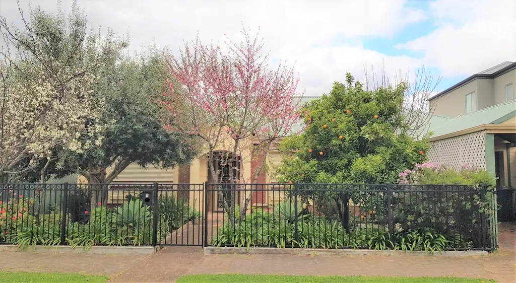 Main view of Homely house listing, 7 Peter Avenue, Campbelltown SA 5074