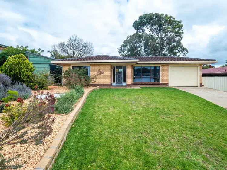 Main view of Homely house listing, 16 Magpie Street, Modbury Heights SA 5092