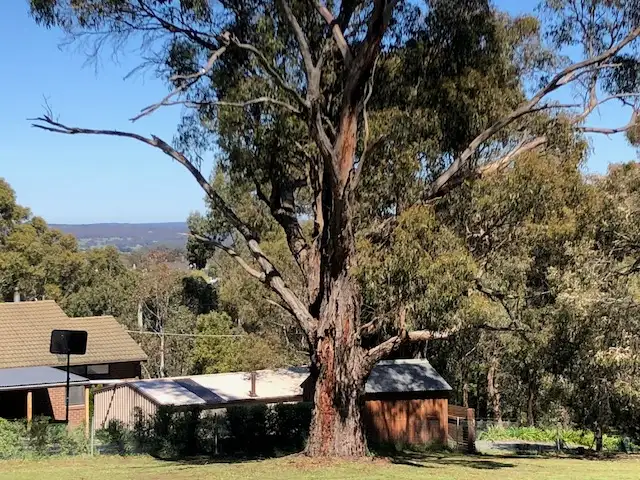 Third view of Homely land listing, 101 Cornish st, Buninyong VIC 3357