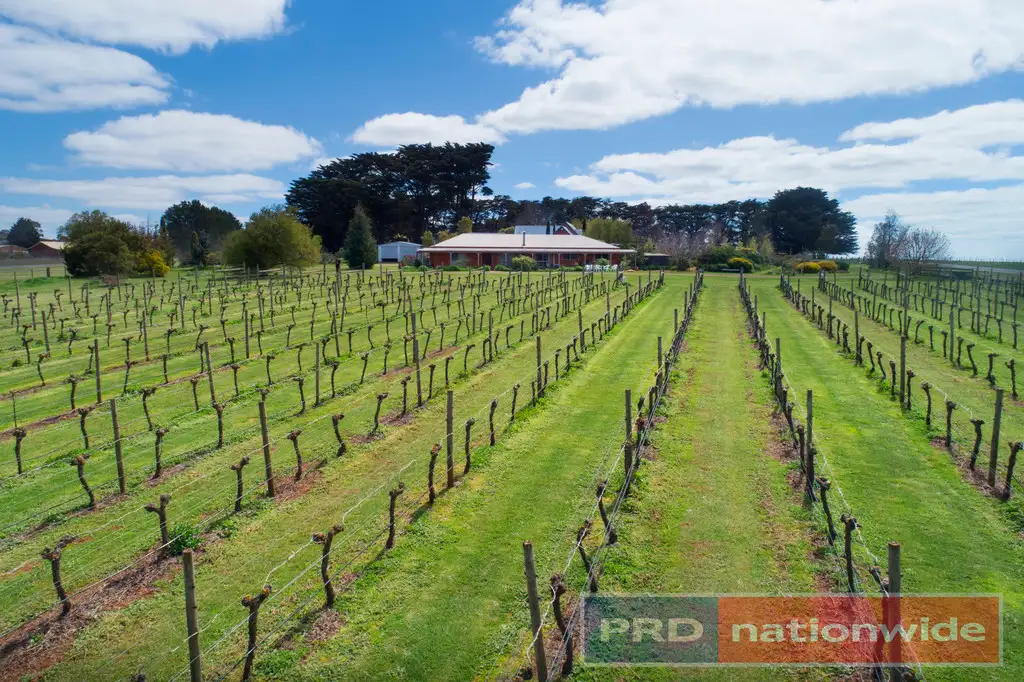 Main view of Homely house listing, 970 Coghills Creek Road, Coghills Creek VIC 3364