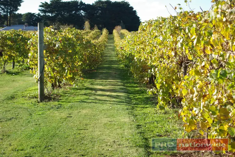 Second view of Homely house listing, 970 Coghills Creek Road, Coghills Creek VIC 3364