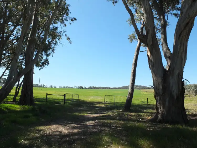 Main view of Homely rural property listing, CA 13 Stawell-Avoca Rd, Barkly VIC 3384