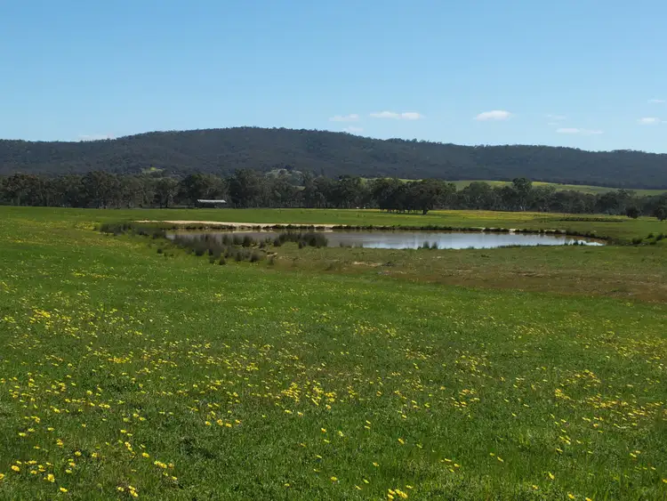 Second view of Homely rural property listing, CA 13 Stawell-Avoca Rd, Barkly VIC 3384