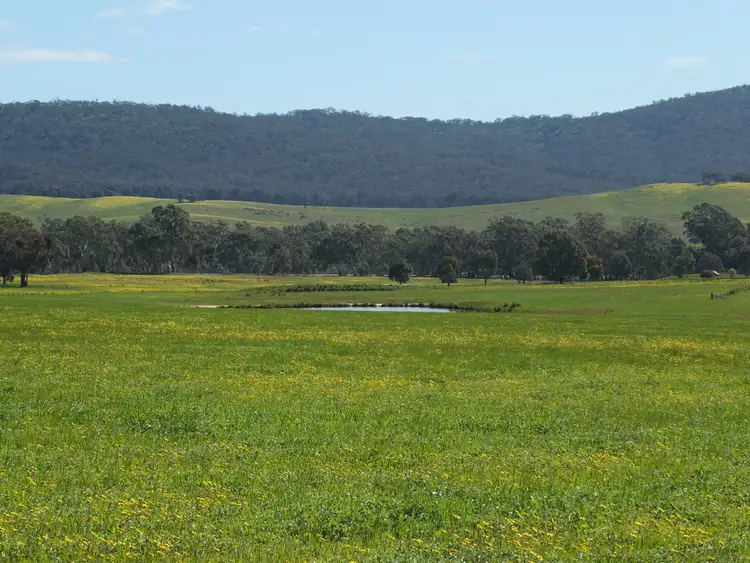 Fourth view of Homely rural property listing, CA 13 Stawell-Avoca Rd, Barkly VIC 3384