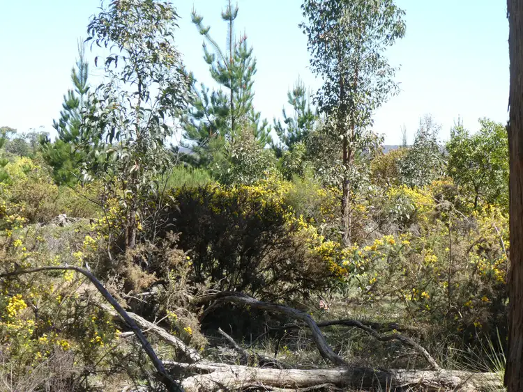 Fifth view of Homely rural property listing, Lot 1 Glenelg Highway, Smythesdale VIC 3351