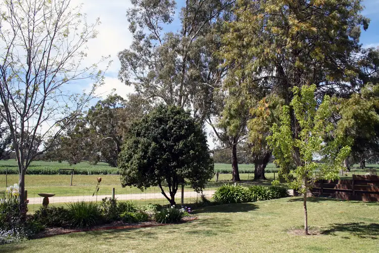 Sixth view of Homely rural property listing, 913 Cannawigara Road, Bordertown SA 5268