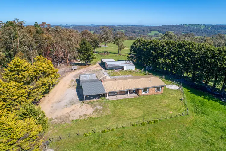 Main view of Homely rural property listing, 51 BEARDS TRACK, Shady Creek VIC 3821