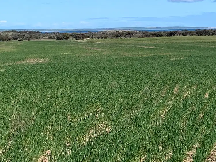 Third view of Homely rural property listing, 30862 Flinders Highway, EBA ANCHORAGE, Streaky Bay SA 5680