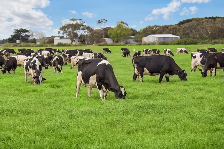 Second view of Homely rural property listing, 1351 HOPKINS HIGHWAY, Purnim VIC 3278