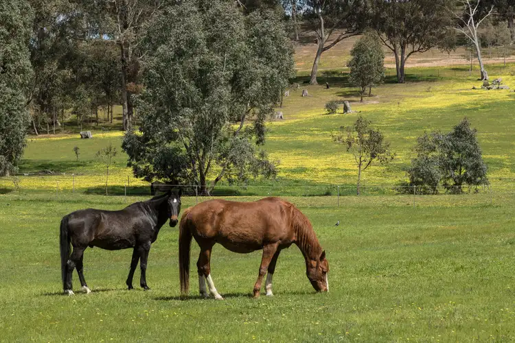 Fifth view of Homely rural property listing, 69 Prospect Lane, Alexandra VIC 3714