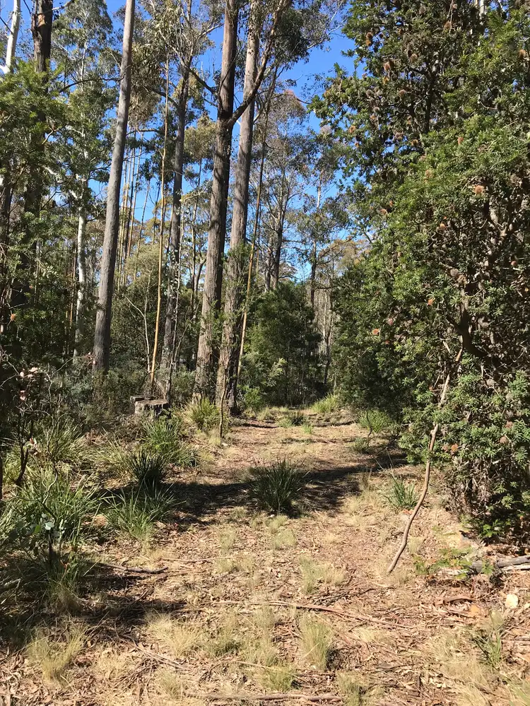 Main view of Homely land listing, 92 Lakeview Road, Lake Leake TAS 7210