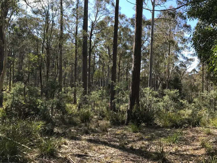Fourth view of Homely land listing, 92 Lakeview Road, Lake Leake TAS 7210