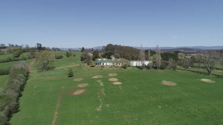 Fourth view of Homely rural property listing, 5329 Bass Highway, Deloraine TAS 7304