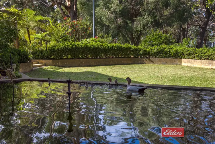 Sixth view of Homely house listing, 70 Chipana Drive, Little Grove WA 6330