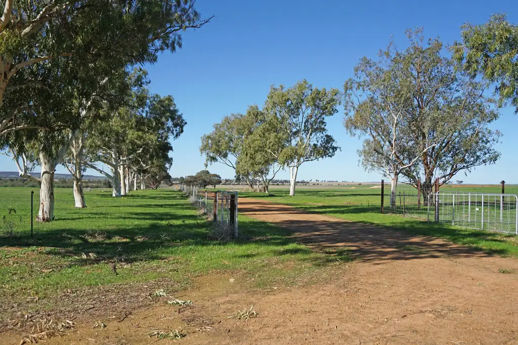 Main view of Homely rural property listing, 2947 Prices Road, Badgingarra WA 6521