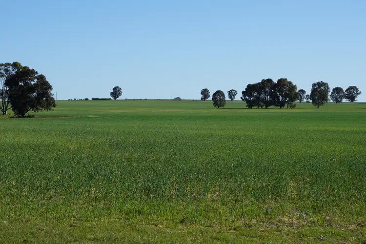 Fifth view of Homely rural property listing, 2947 Prices Road, Badgingarra WA 6521