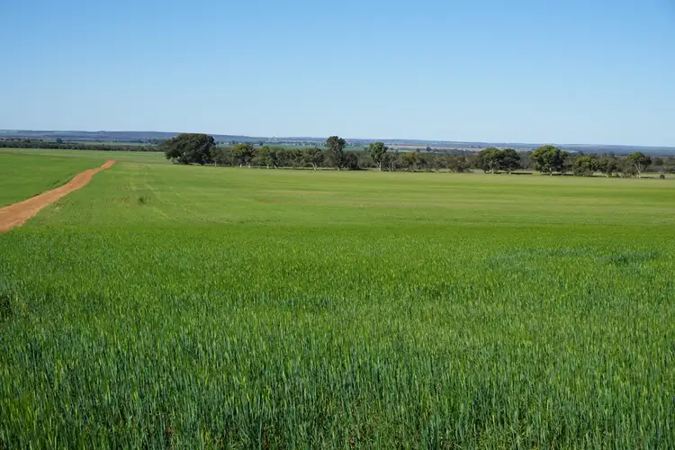 Sixth view of Homely rural property listing, 2947 Prices Road, Badgingarra WA 6521