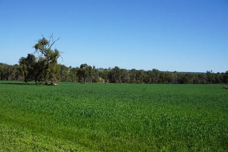 Fourth view of Homely rural property listing, 765 & 1009 Coalara Road, Badgingarra WA 6521