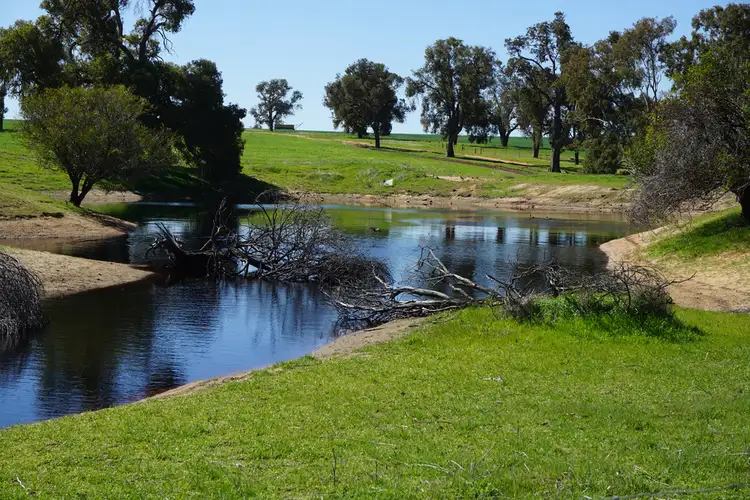 Seventh view of Homely rural property listing, 765 & 1009 Coalara Road, Badgingarra WA 6521