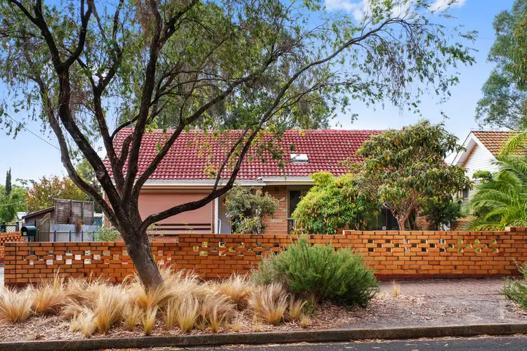 17 McIntosh Avenue, Pasadena SA 5042