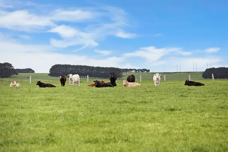 Second view of Homely rural property listing, 623 TOWER HILL ROAD, Yangery VIC 3283