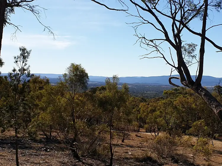 Fifth view of Homely land listing, 353 Crossins Road, Swansea TAS 7190