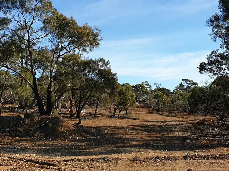 Sixth view of Homely land listing, 353 Crossins Road, Swansea TAS 7190