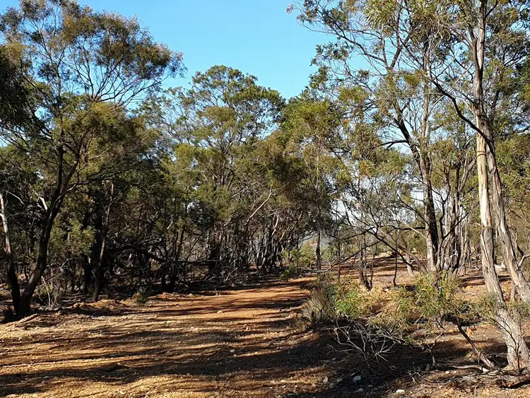 Seventh view of Homely land listing, 353 Crossins Road, Swansea TAS 7190