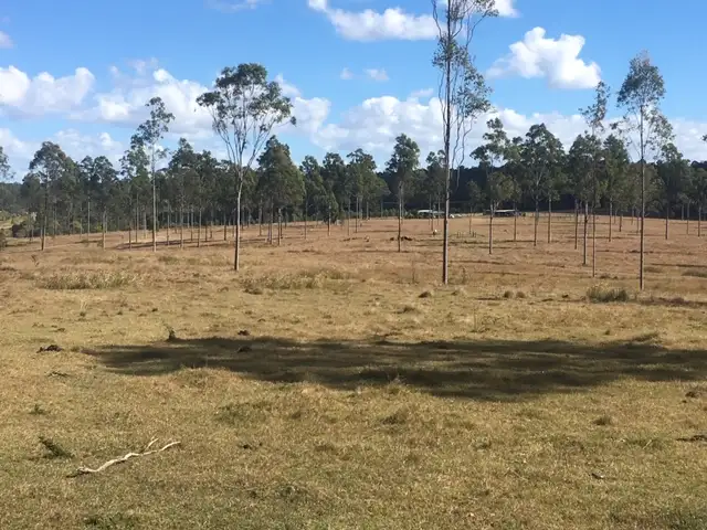 Fifth view of Homely land listing, Lot 164 Baupleview Road, St Mary QLD 4650