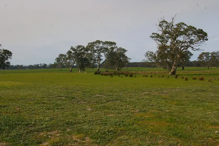 Second view of Homely rural property listing, 199 Casterton Dartmoor Road, Casterton VIC 3311