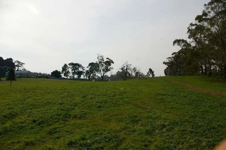 Third view of Homely rural property listing, 199 Casterton Dartmoor Road, Casterton VIC 3311