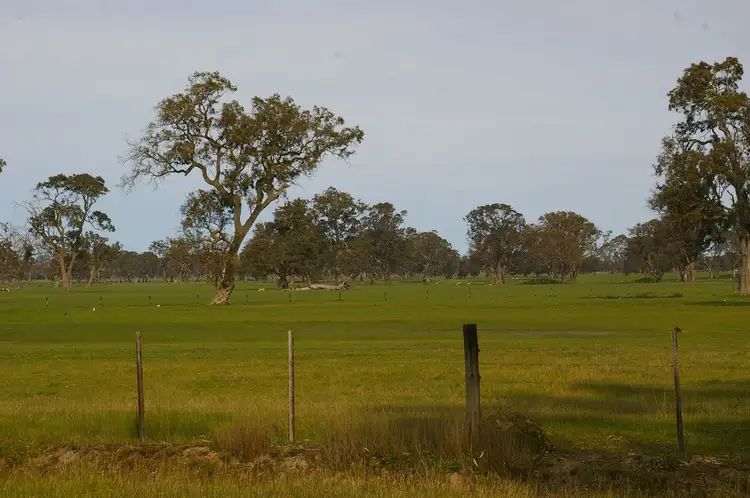 Fifth view of Homely rural property listing, 199 Casterton Dartmoor Road, Casterton VIC 3311